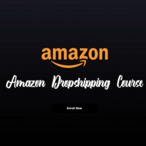 [Get] Andrew Giorgi – Walmart and Amazon Dropshipping Course