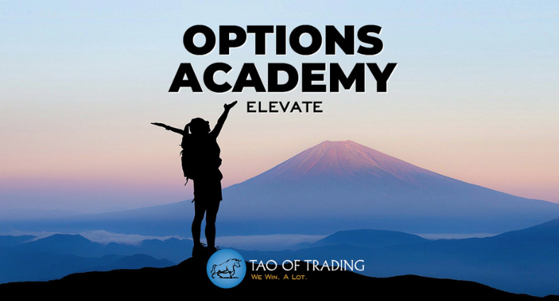 Simon Ree – Options Academy Elevate Download