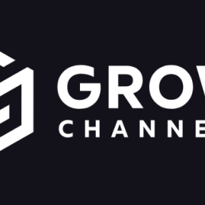 [Get] Razvan Paraschiv – Grow Channels Accelerator Download