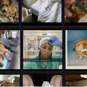 [Get] Satish Prajapati – Native Ads Download